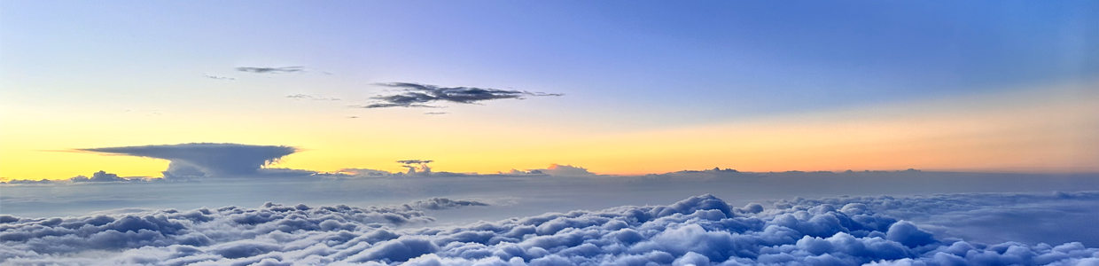 博客域名查询网